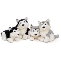 Plush husky puppies, 4 assorted lying and sitting, each in black and gray