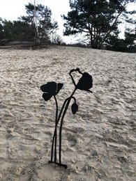 Valmue med blomsterknop | corten stål