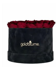 Velvet Black Collection
