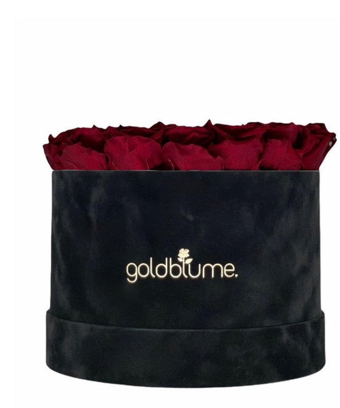 Velvet Black Collection