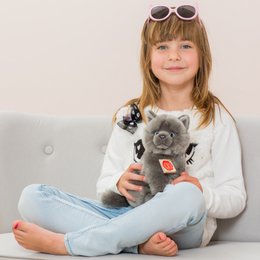 Carthusian cat sitting 20 cm - soft toy - soft toy