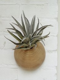Hemisphere - Light Oak