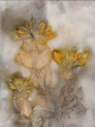 Floral wall art featuring a soft, abstract design with yellow and taupe tones. The artwork has a textured, ethereal quality, showcasing the natural beauty of the flowers.