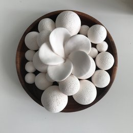 BALI udsender