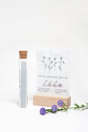 Poppy seeds in growing paper, 100 moments of happiness, live life in full bloom