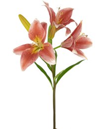  Artificial flower with large pink and yellow lily-like blooms, approximately 66 cm tall.
