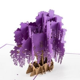 A pop-up card featuring a detailed illustration of a wisteria tree in shades of purple. The card has a 3D effect with the wisteria branches extending outwards.