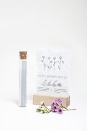 Wildflower seed paper packet with poppies, in a glass vial with dried flowers.