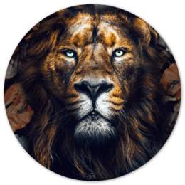 A round wall decor featuring a detailed close-up image of a majestic lion's face. The product is available in various sizes ranging from 12 cm to 140 cm in diameter, and can be made of Forex or Dibond materials.