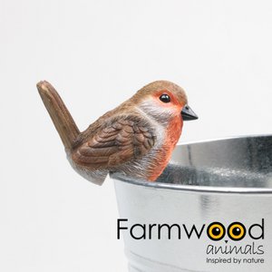 Topfhängervogel Robin