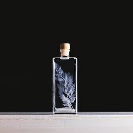 Das Herbarium – Unterwasserpflanze White Leather Farn