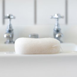 Cuerpo Konjac XL | al por mayor