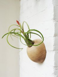 Hemisphere - Light Oak