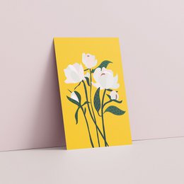 Set di cartoline - Fiori da giardino