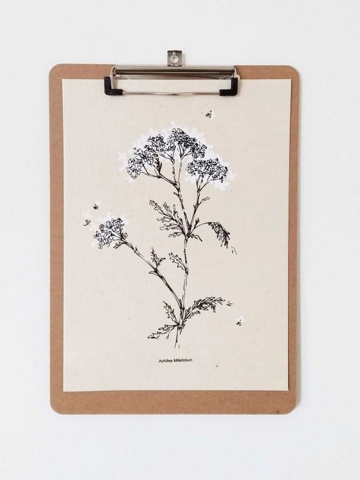 A4 White flower