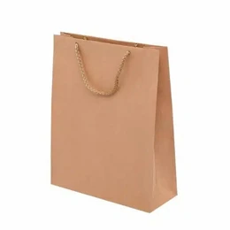  Beige kraft paper gift bag with golden cord handles, rectangular shape, elegant packaging