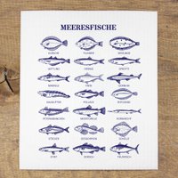 Sponge cloth sea fish