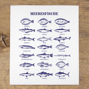 Sponge cloth sea fish