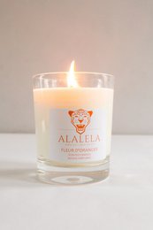 Duftkerzen Fleur d'Oranger 250 gr