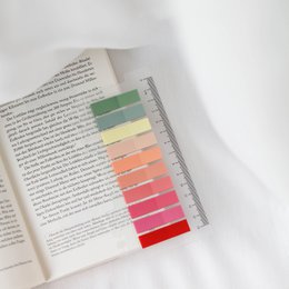 Lemonade Blooms | Ordinate Haftnotizen | Klebezettel | Haftstreifen | Haftmarker | schule zubehör | Lesezeichen | aesthetic Schreibwaren | klein index tabs | sticky notes