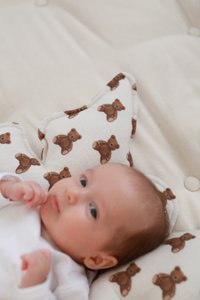 Hoofdsteunkussen – Teddyberen