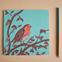 Postcard | robin