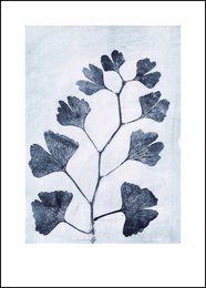 Ginkgo leaf wall art, 50x70 cm, featuring a botanical print with a minimalist, natural design.