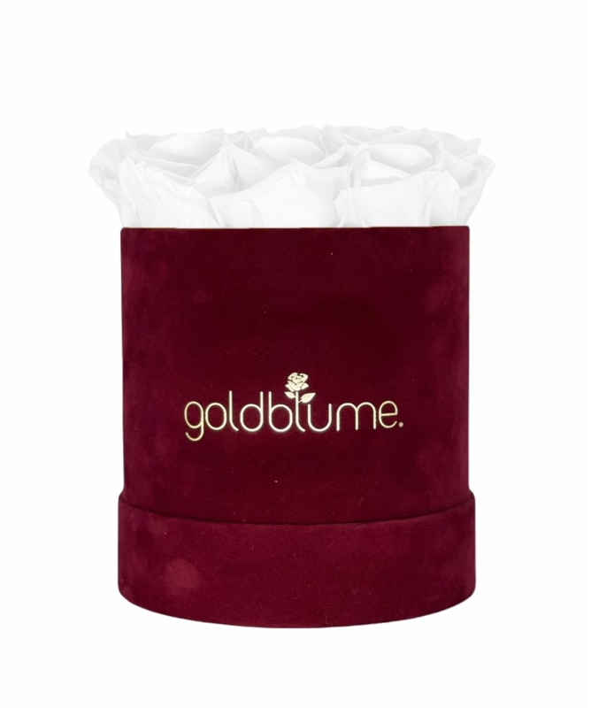 Velvet Bordeaux Collection
