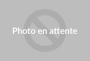 PRALINES 40% HAZELNUTS - 160g BAG