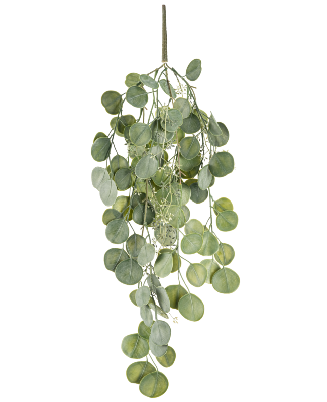 Pianta artificiale pensile Eucalipto 73 cm