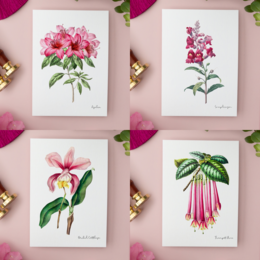 Pack Todos los Colores - Postales Hechas A Mano A6 con Sobre - Botanical Vintage