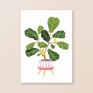 Postcard | Tropical Plant | Houseplants