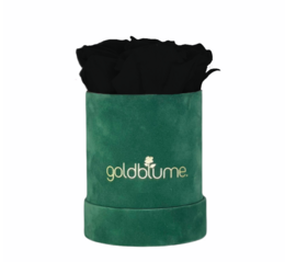 Colección Terciopelo Verde