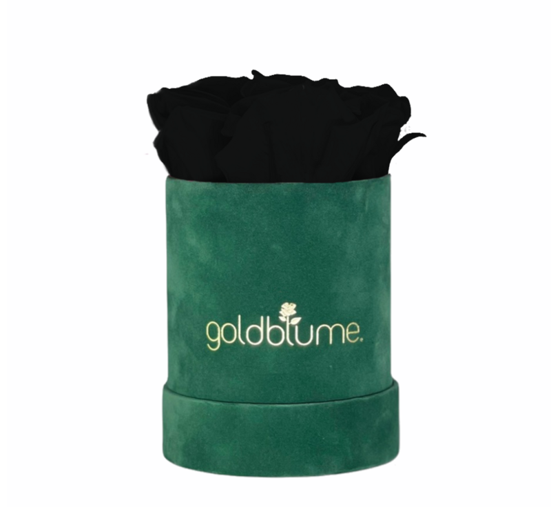 Colección Terciopelo Verde
