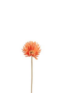 J-Line Gerbera Virgin Plastiek Orange