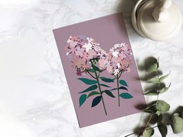 Blomsterpostkort - Phlox
