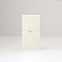 Light in a box bloem