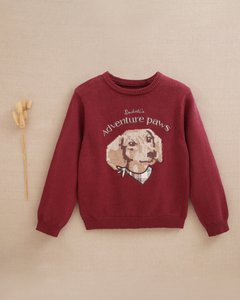 Lilafarbener Jungenpullover mit gesticktem Dackelmuster P87-18604223
