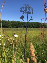Poppy's & Hogweed - Objeto Corten