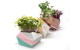 Trousse Urban Jungle - Collection classique