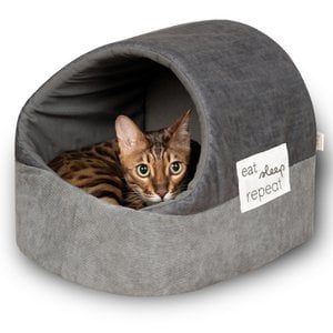 Cat bed with patch