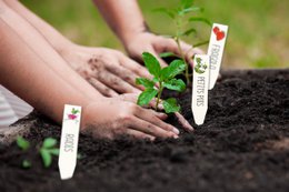 ZESTAW KURCZĄCY PLASTIK ETYKIETA WARZYWNY OGRÓD