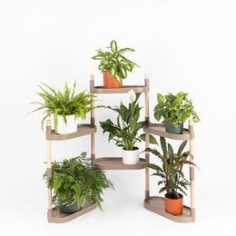Plantehylder 6 bakker