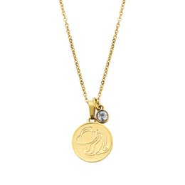 Gold-toned necklace with Zodiac Aquarius pendant and crystal accent. Pendant features engraved Aquarius symbol.
