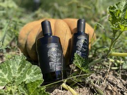 ITALIA | SICILIA | Extra Virgin Olive Oil - il SALTO | 250 ml