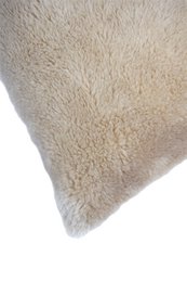Cushion Conscious Wool Beige