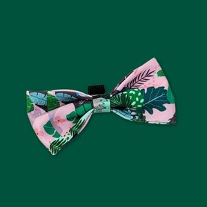 Vlinderdas voor een cactushond