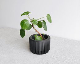 PRAHA indendørs plantekasse