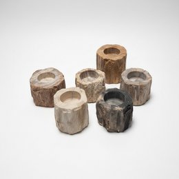 Petrified Wood Tealight Holder