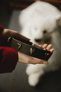 Weiche Lederhundkragen aus der flauschigen Welpenmarke, dekorative Nieten zur Auswahl, handgefertigt!